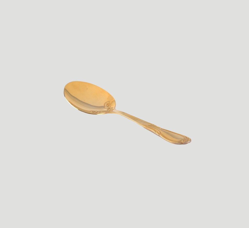 SEVICE SPOON